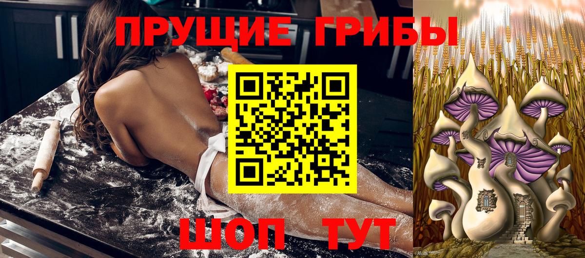 Кирово-Чепецк  Галлюциногенные грибы MAGIC MUSHROOMS  Вход с VPN  Псилоцибиновые грибы Cubensis 